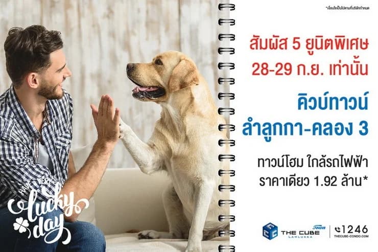 เดอะคิวบ์ ทาวน์ ลำลูกกา